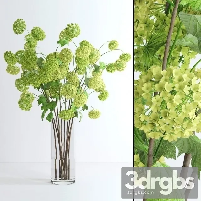 Viburnum Bouquet 3D Model Free