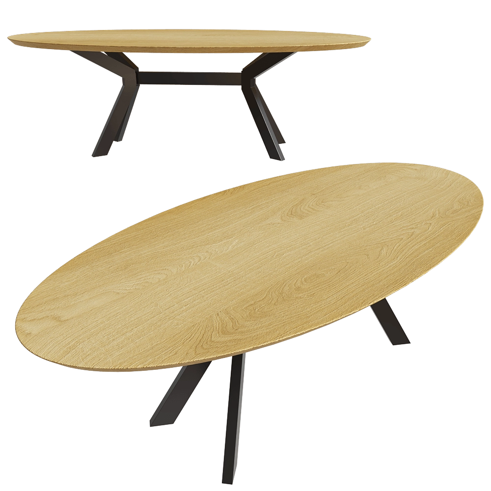 Vincent Sheppard - Dining table Albert ellipse 3D Model