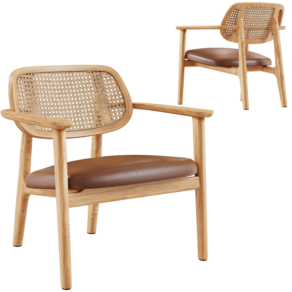 Vincent Sheppard - Lounge chair Titus 3D Model