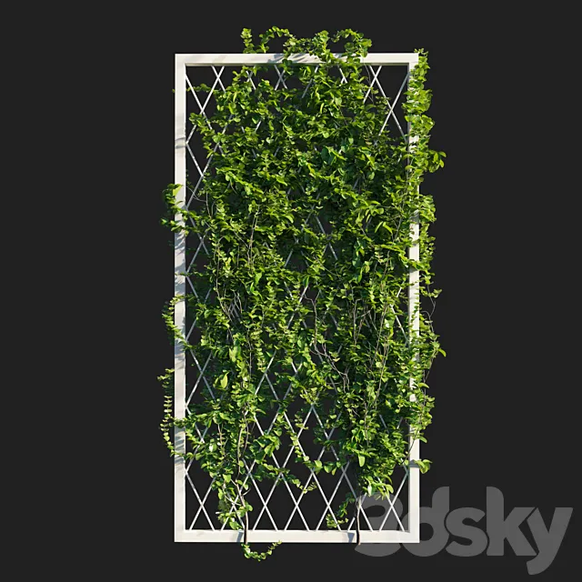 Vines on wall Free Download