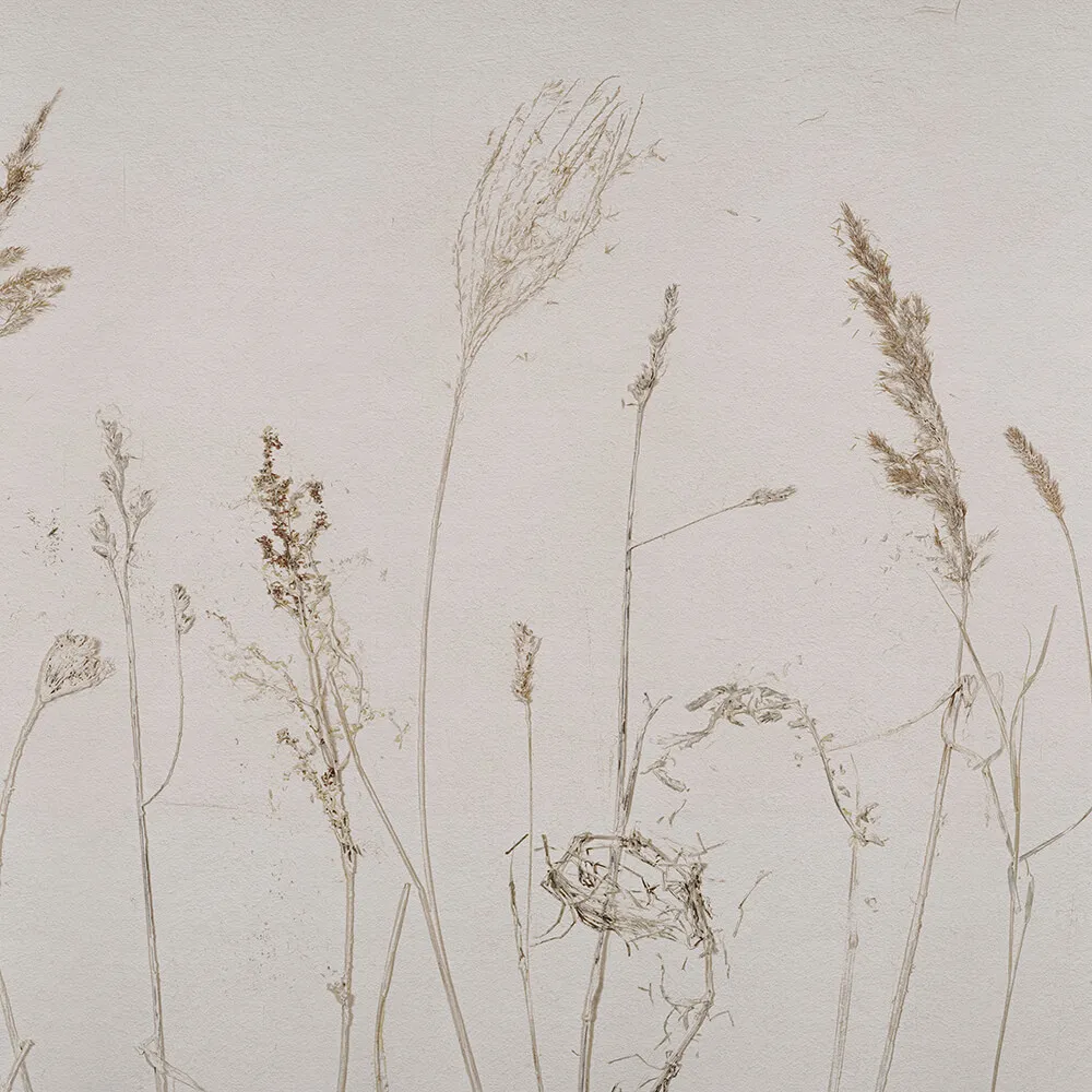 Wall Art - Wallpaper Campo di Avena 3D Model