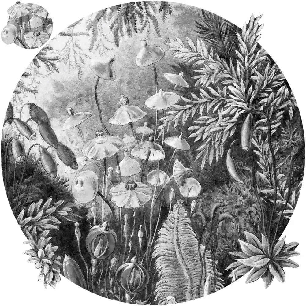 Wall Art - Wallpaper Fairytale Black & White round 3D Model