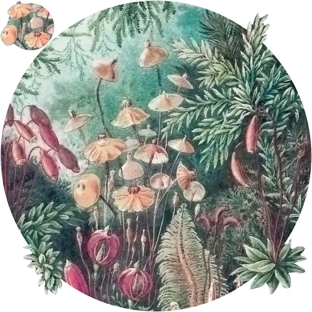 Wall Art - Wallpaper Fairytale round 3D Model