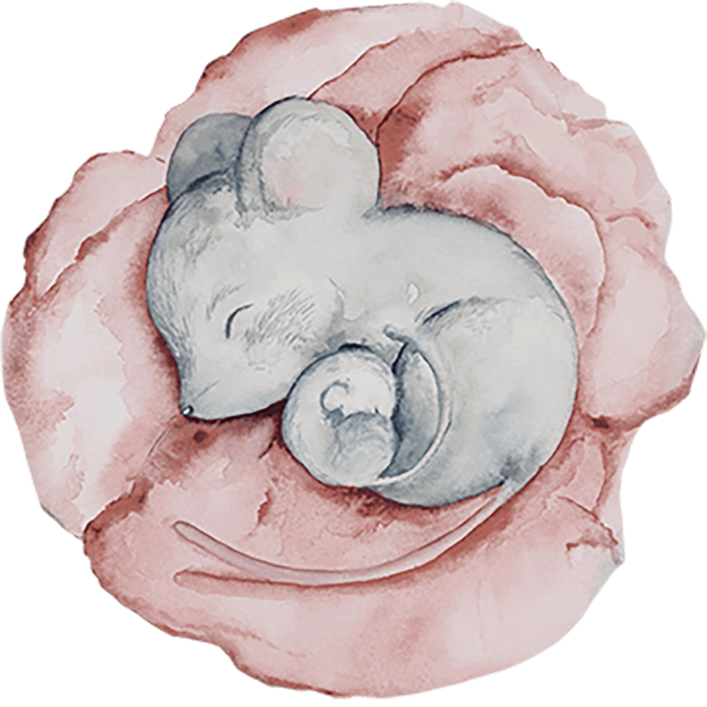 Wall Art - Wallpaper Little Nap round 3D Model