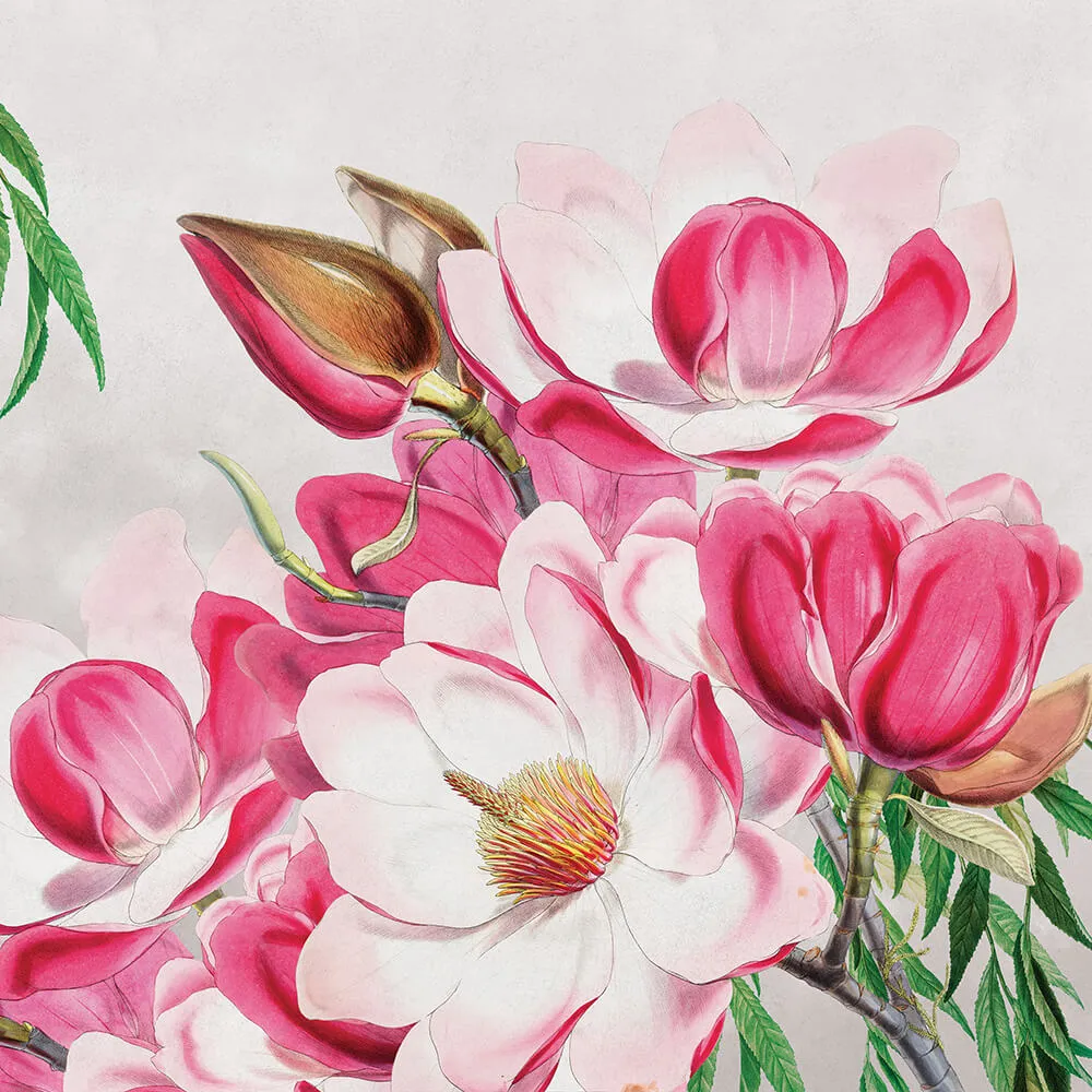 Wall Art - Wallpaper Magnolia 3D Model