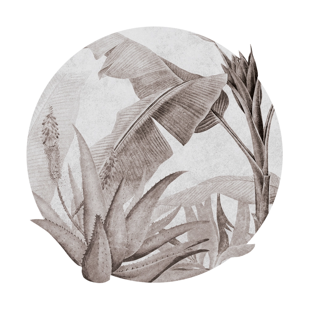 Wall Art - Wallpaper Rainforest Beige round 3D Model