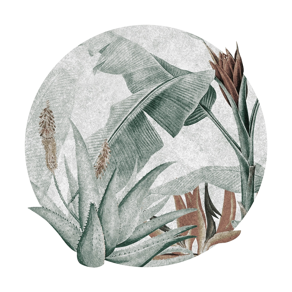 Wall Art - Wallpaper Rainforest round 3D Model