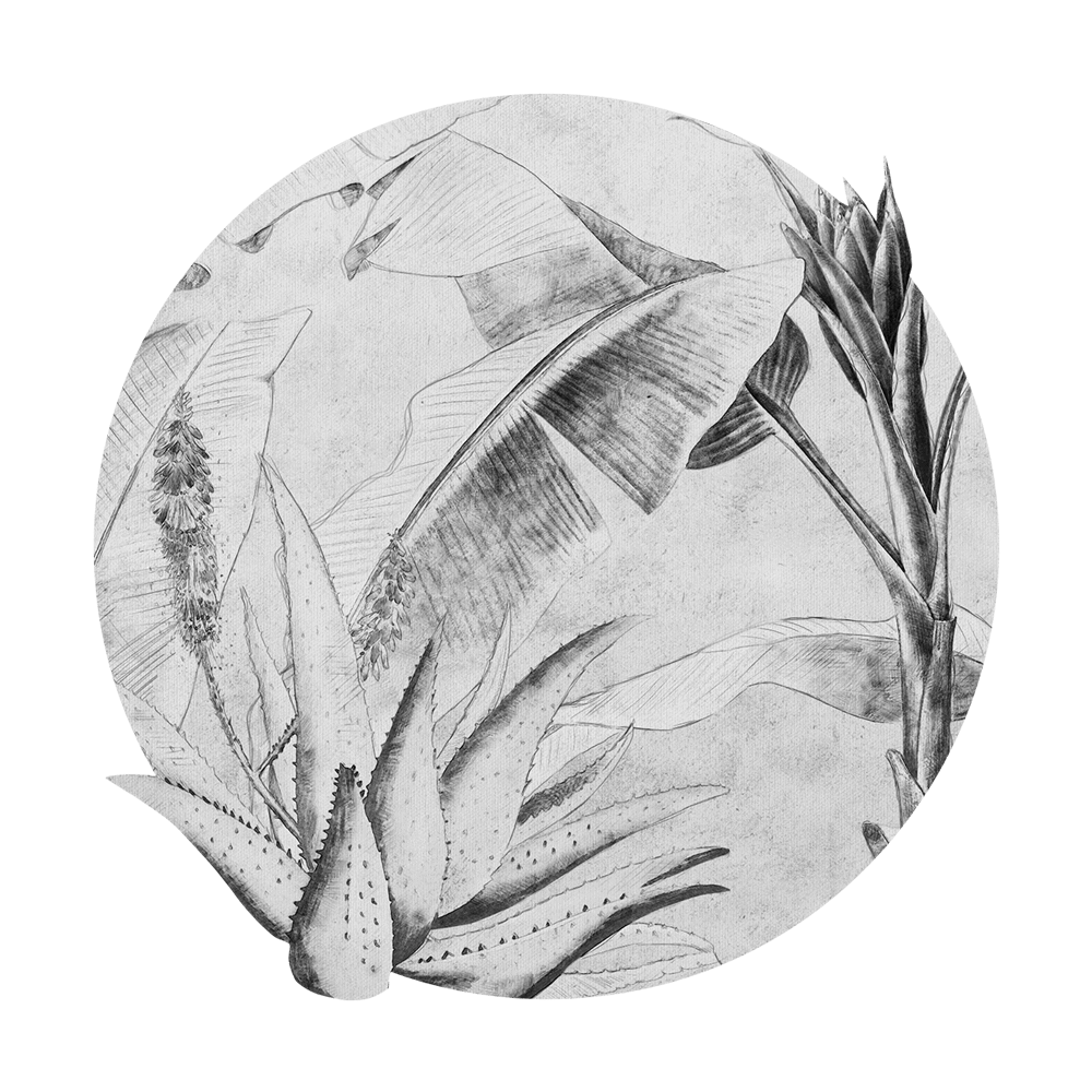 Wall Art - Wallpaper Rainforest Sketch round 3D Model