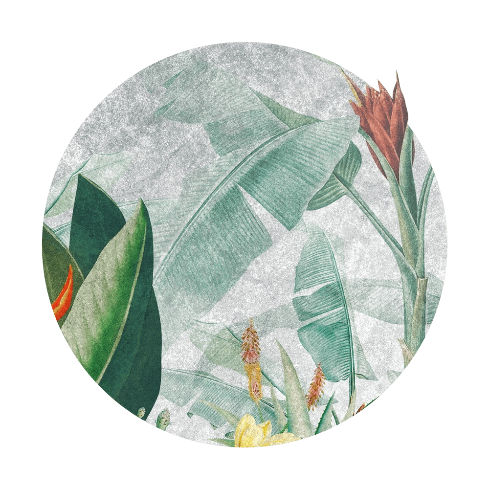 Wall Art - Wallpaper Rainforest Vivid round 3D Model