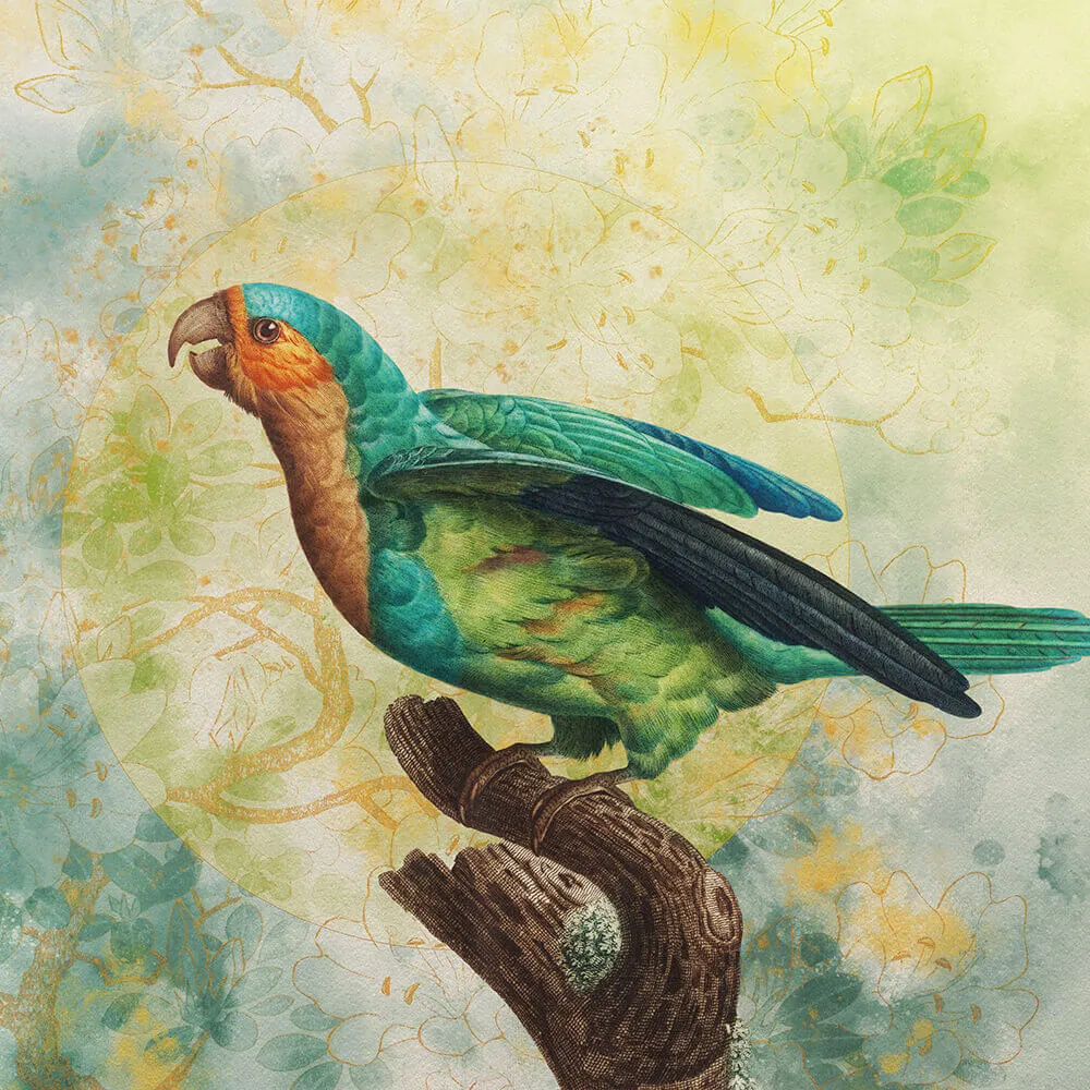 Wall Art - Wallpaper Sierra 3D Model