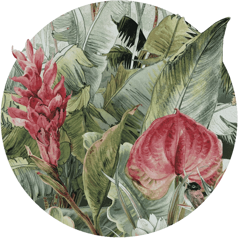 Wall Art - Wallpaper Wonderland round 3D Model