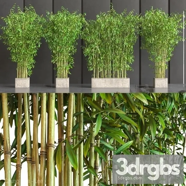 Wall Bamboo Set 3D Model Free