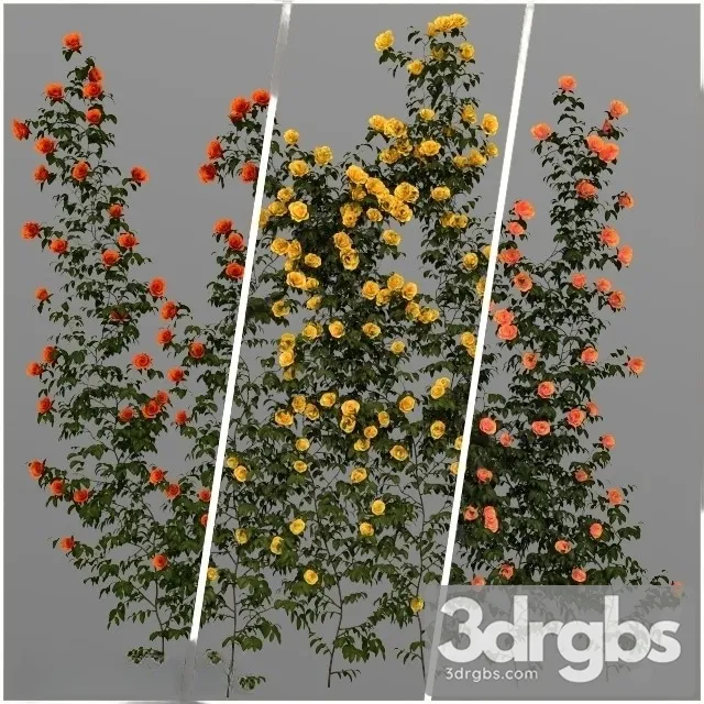 Wall Climbing Flowers 3D Model Free