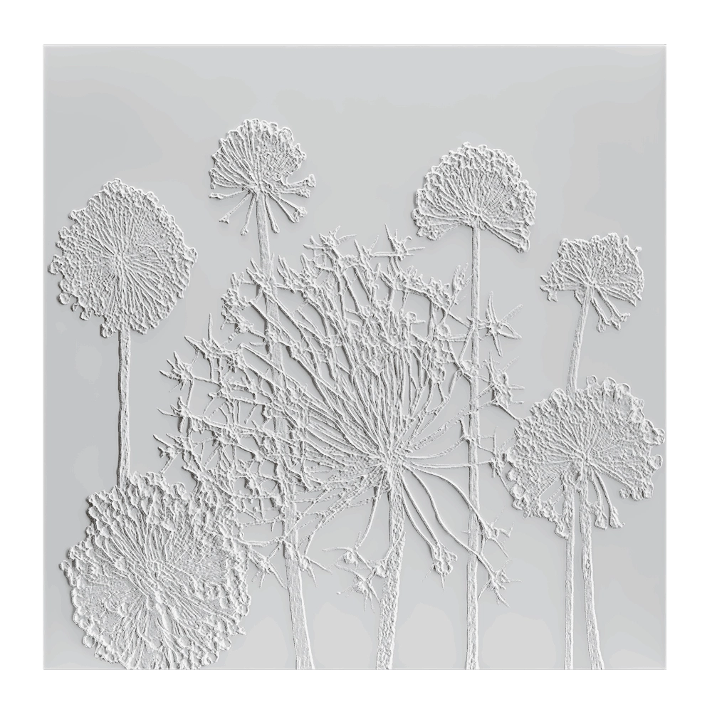 Wall deco - DANDELIONS B-26 3D Model