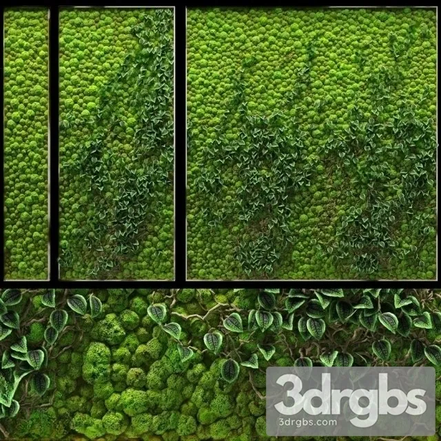 Wall Fito 3D Model Free