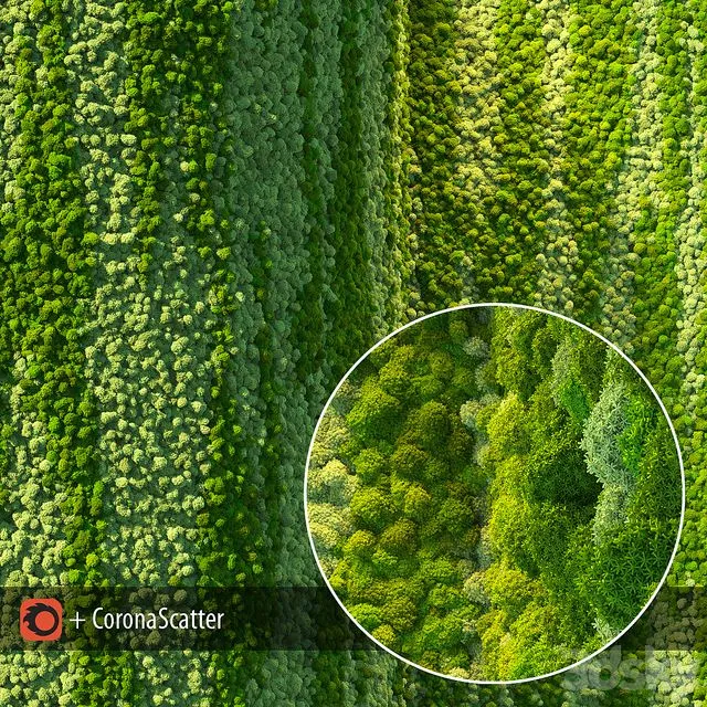 Wall from moss 3D Model