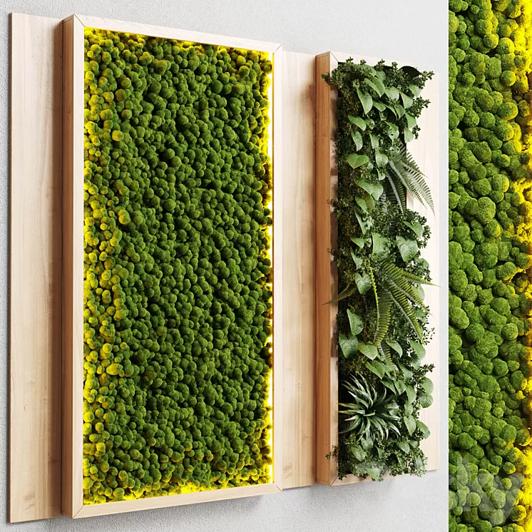 wall garden and vertical moss in wooden frame 22 3D Model Free