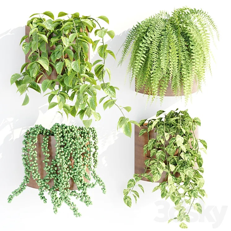 Wall hanging plants collection vol 206 3D Model Free