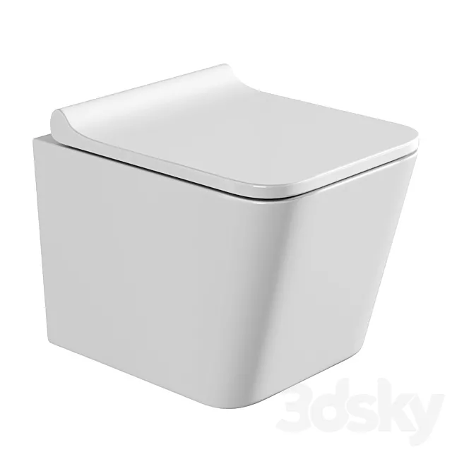 Wall hung toilet AQUAme AQM2004 3D Model