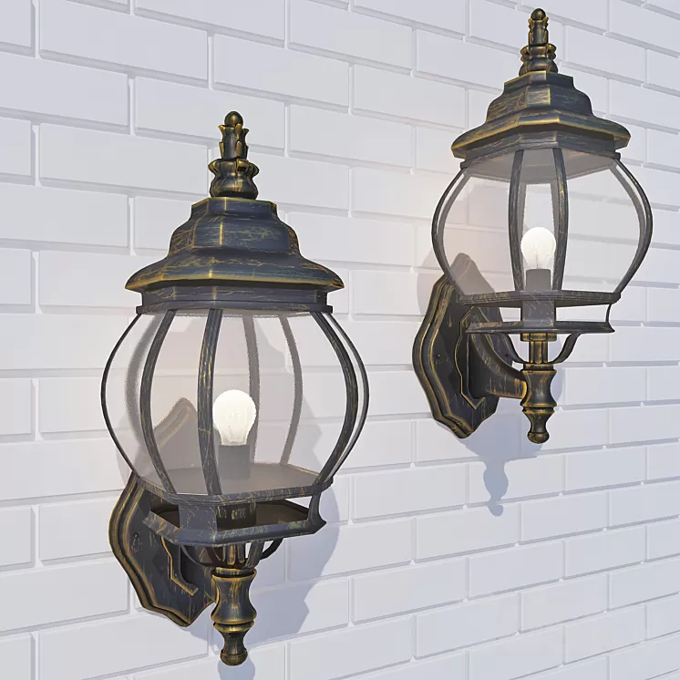 Wall light Elektrostandard NLG9913-C