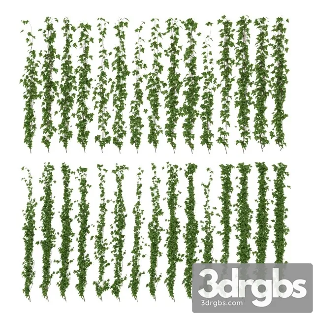 Wall Of Ivy Leaves 3D Model Free