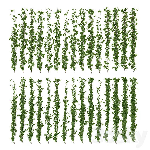 Wall of ivy leaves 3DModel