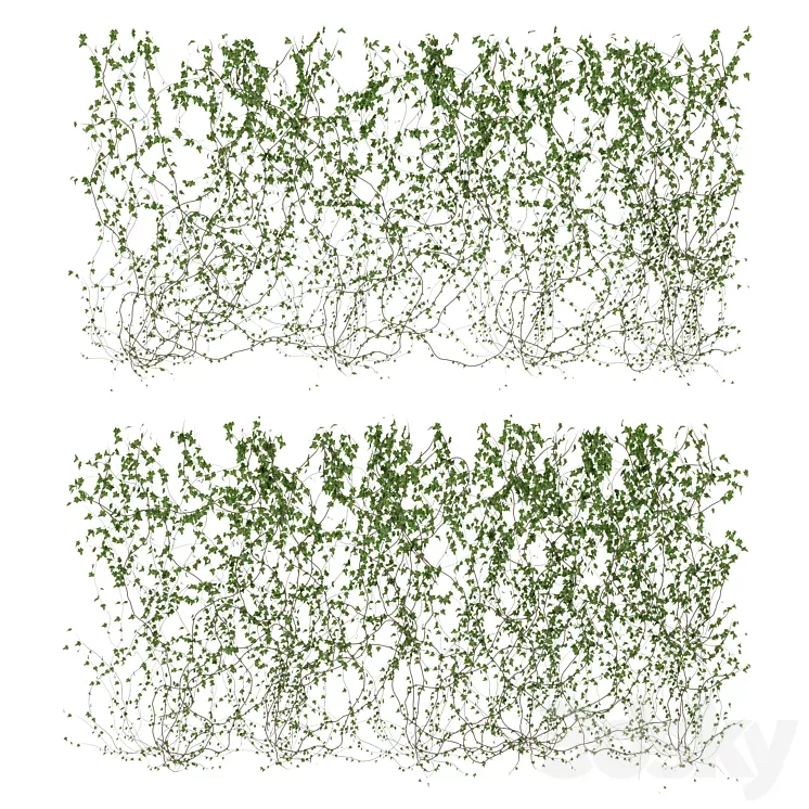Wall of ivy leaves v3 3D Model