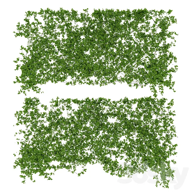 Wall of leaves 3DModel