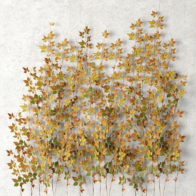 Wall of leaves hanging plants leaf autumn vine leaves 3D Model