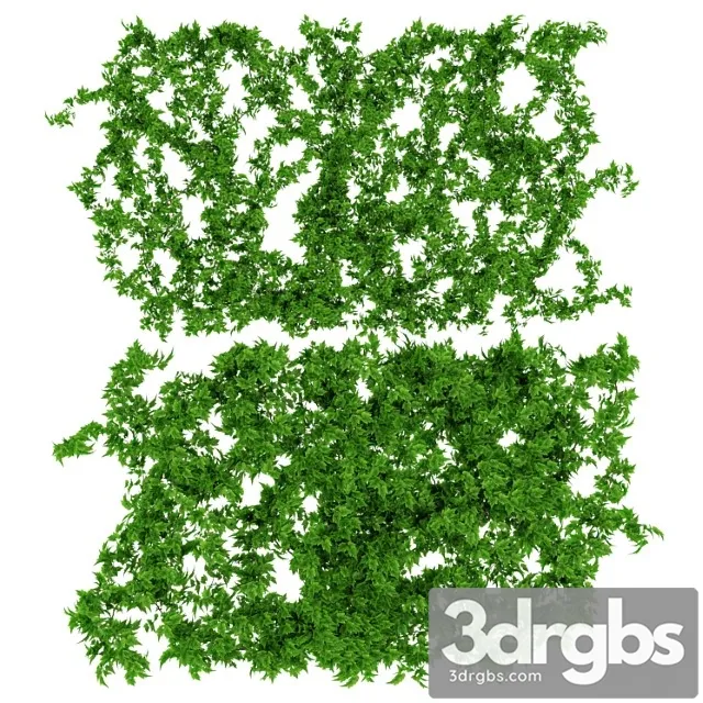 Wall Of Leaves Iv Vinoghrada 1 3D Model Free