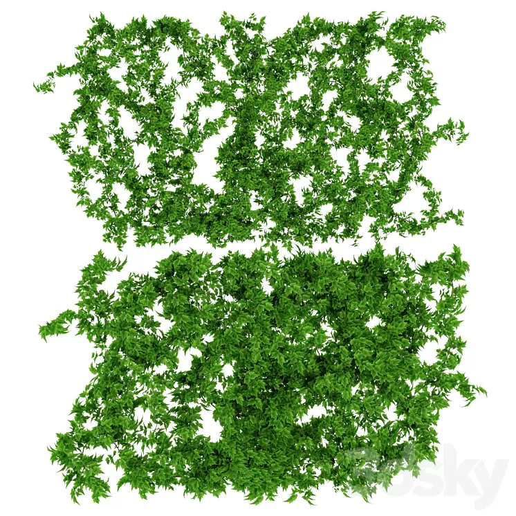 Wall of vine leaves 3D Model