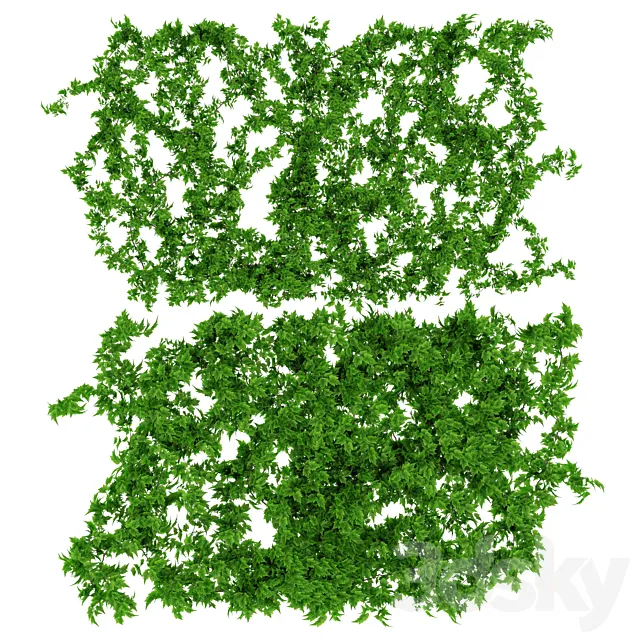 Wall of vine leaves 3D Model