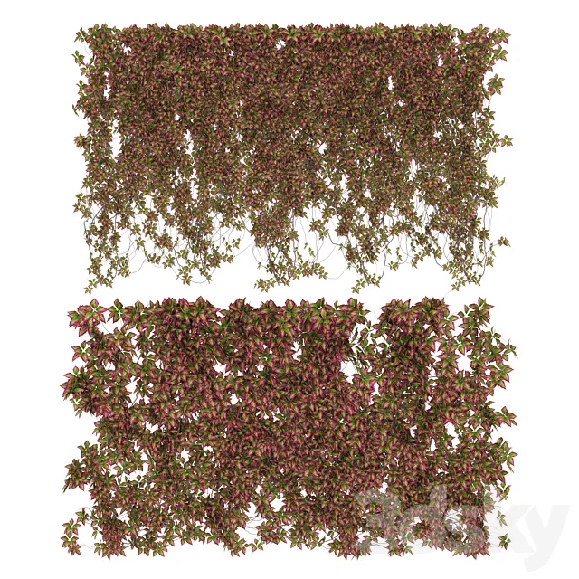 Wall of wild grapes leaves v3 3DModel