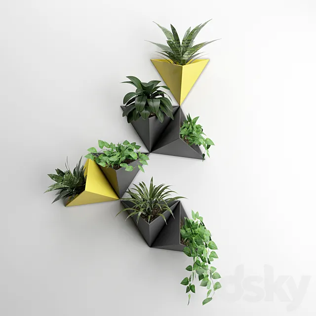Wall plant 2 3D Model