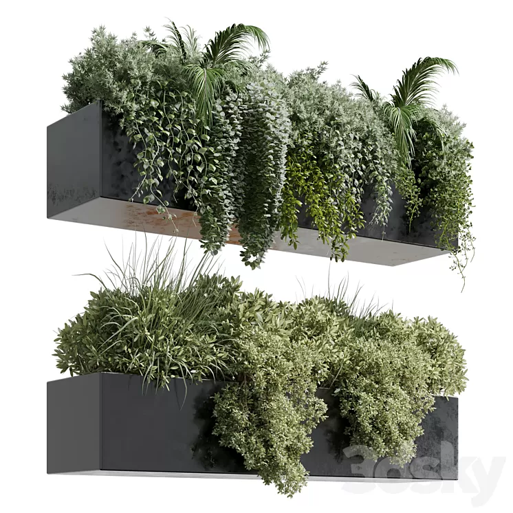 wall plant - hanging plants collection Indoor plant 219 3D Model Free