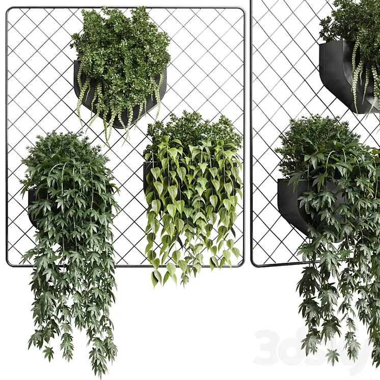 wall plant - hanging plants collection Indoor plant 293 metal dirt vase 3D Model Free