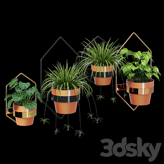 Wall planters hexagon 3DModel