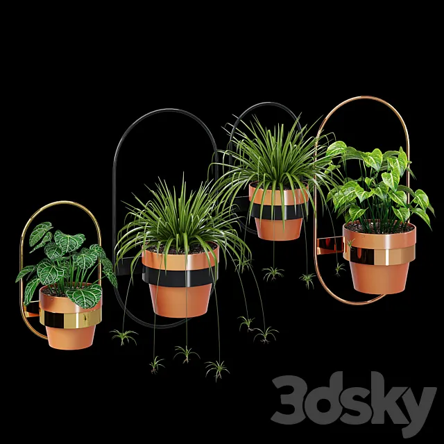 Wall planters oval 3D Model