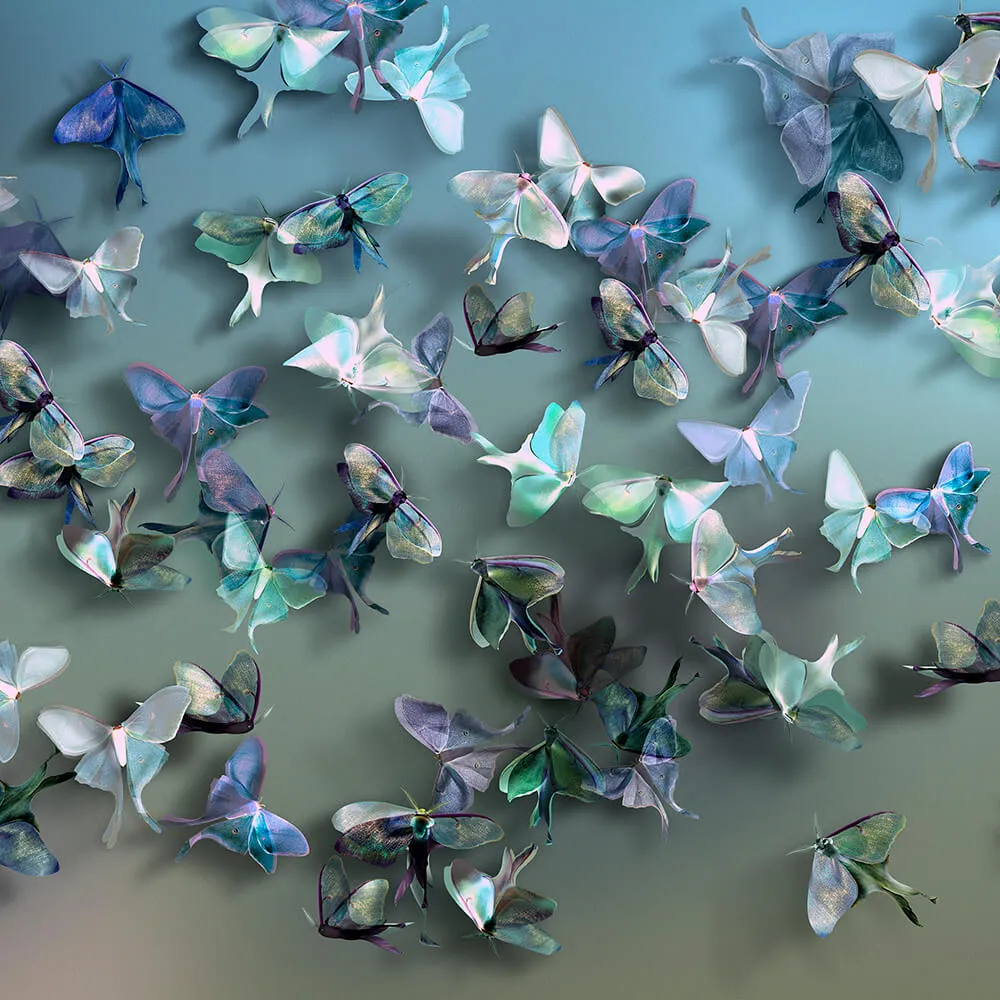 Wall Street - Wallpaper FarFalle 3D Model