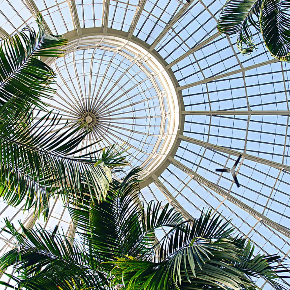 Wall Street - Wallpaper Frame 2019 3D Model