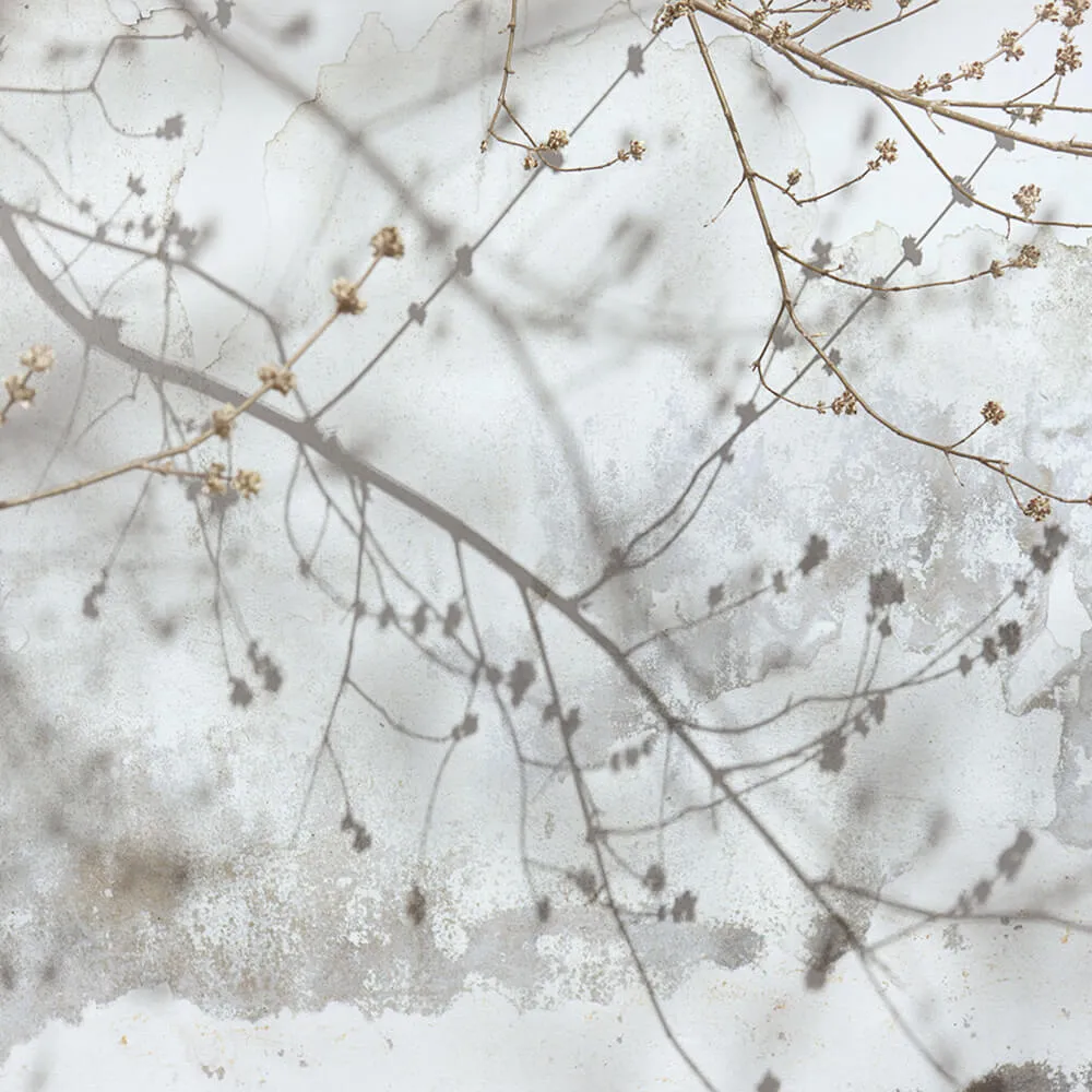 Wall Street - Wallpaper Vetve 22 3D Model