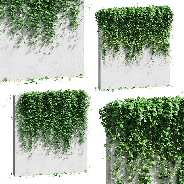 Wall with grape leaves Free Download