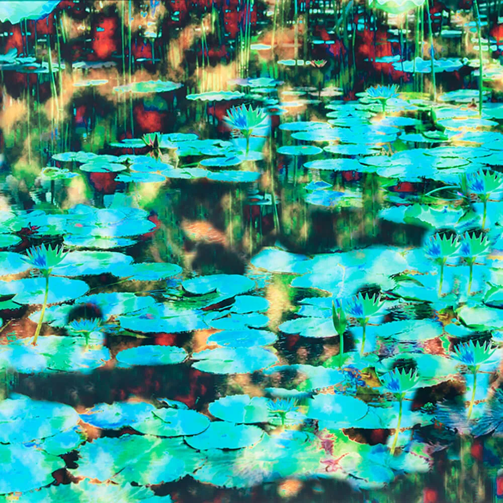 WallPepper - Wallpaper Black Pond 3D Model