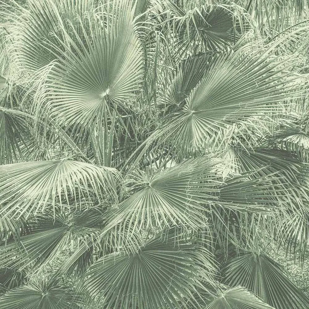 WallPepper - Wallpaper Blow up 3D Model