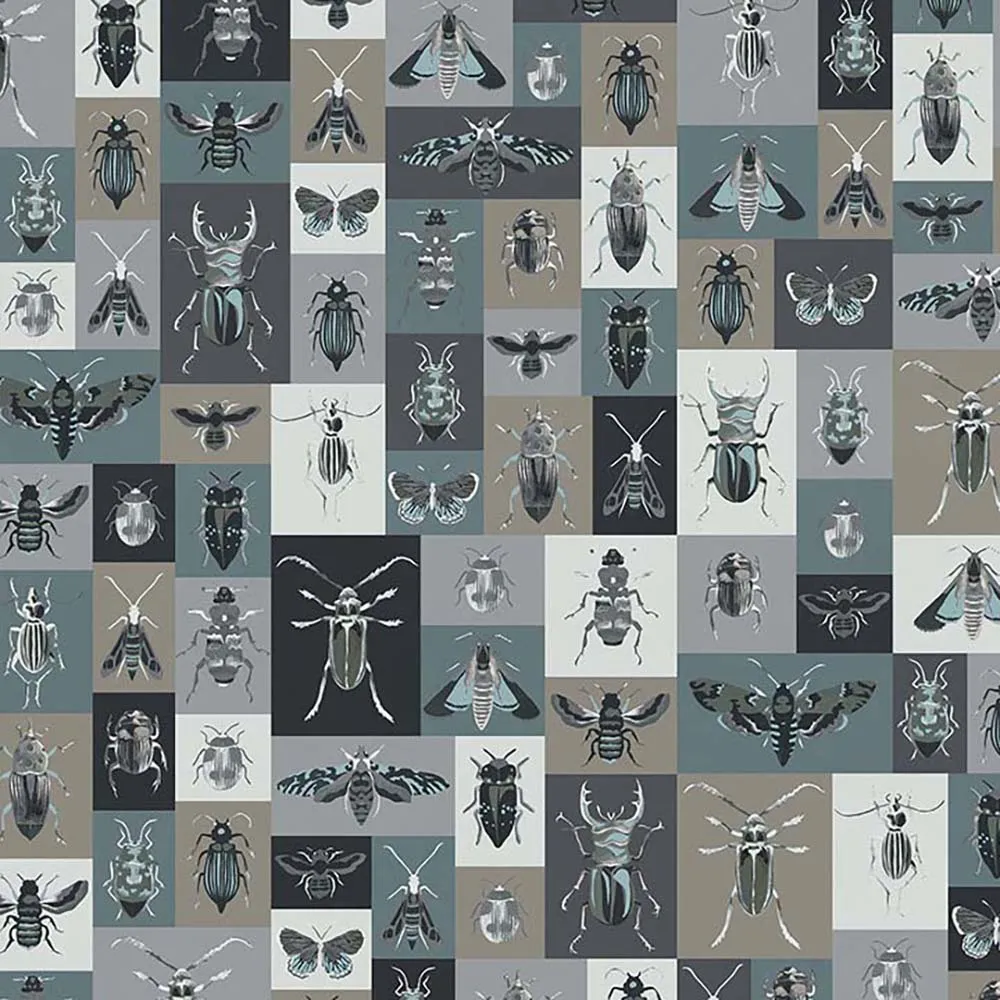 WallPepper - Wallpaper Bugs 3D Model