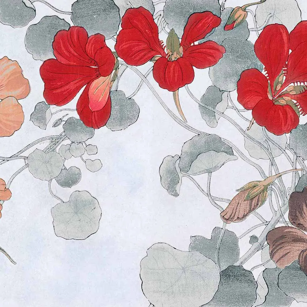 WallPepper - Wallpaper Hana 3D Model