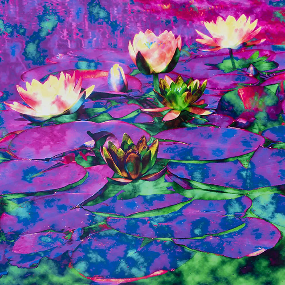 WallPepper - Wallpaper Mind Colours 3D Model