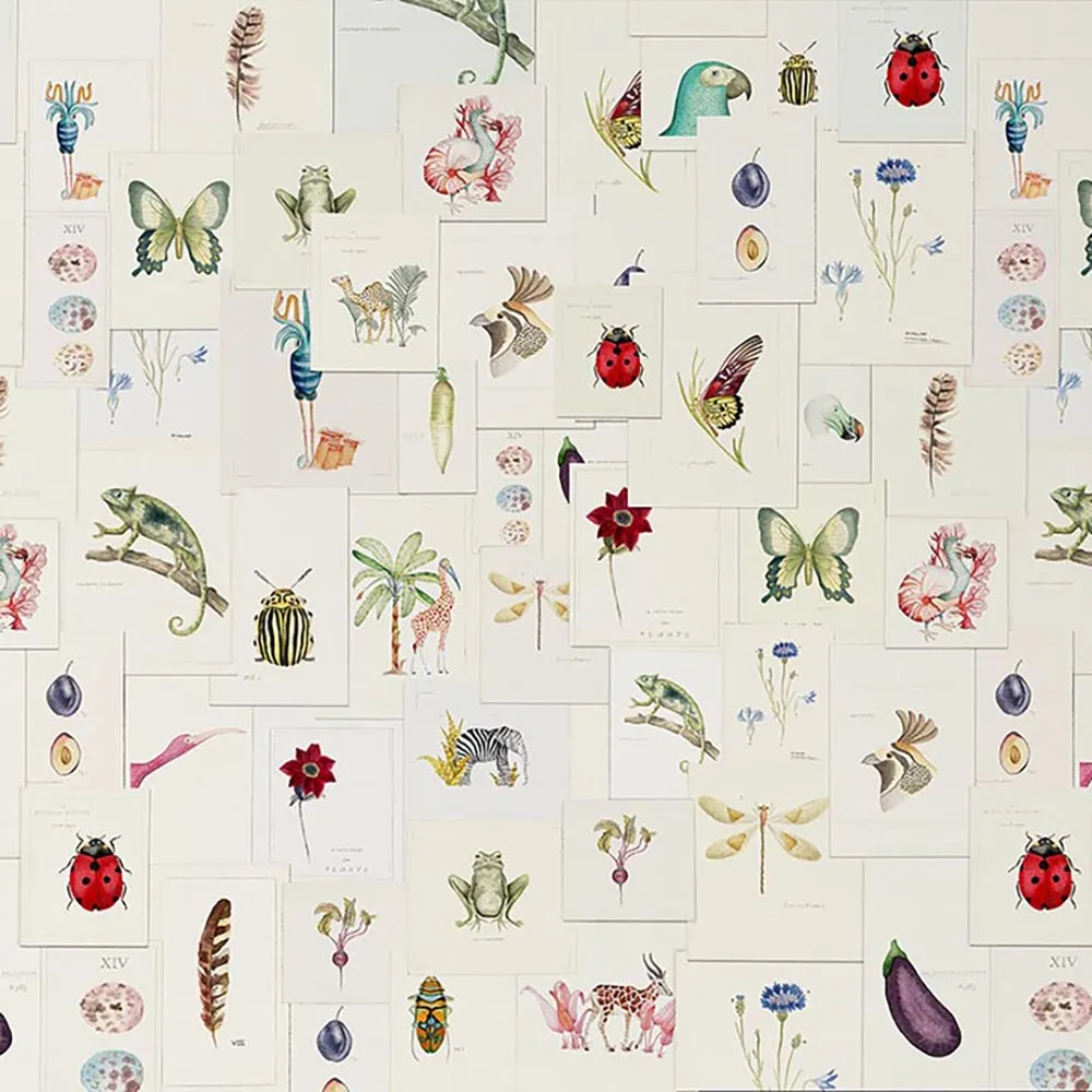 WallPepper - Wallpaper Pictionary 3D Model