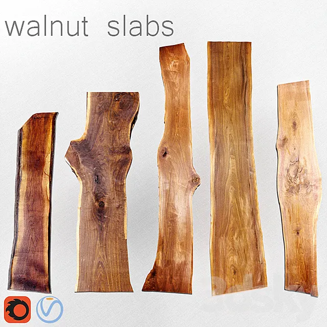 Walnut Slabs | Slabs from walnut 3DModel