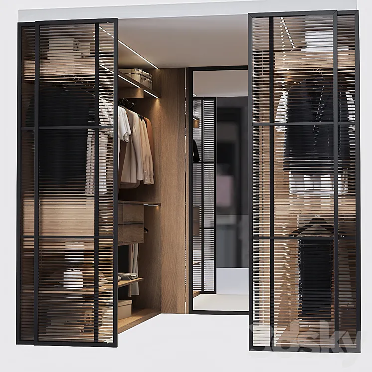 Wardrobe walk in 3D Model Free